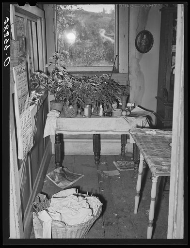 Corner of kitchen in fruit farmer's house. Placer County, California