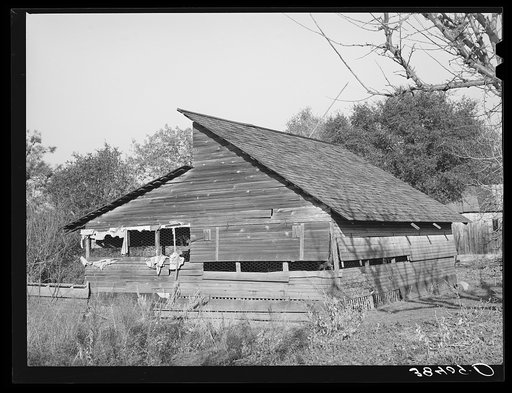 Packing shed of fruit farmer. Placer County, California