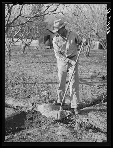 Farmer using sacking to bank irrigation ditch. Placer County, California. He is from Oklahoma