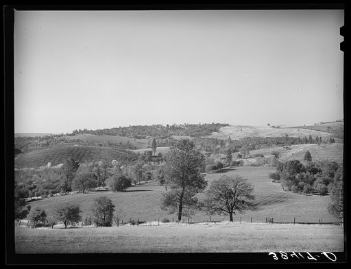Farmland, orchards and hills in Placer County, California