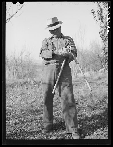 Farmer. Placer County, California