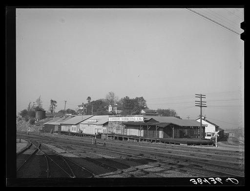 Fruit packing sheds. New Castle, California