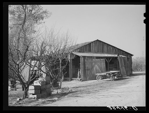 Packing shed of fruit farmer. Placer County, California