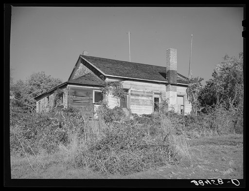 Unkept yards are common as farmers' incomes creep lower when they lose markets for their fruit. Placer County, California