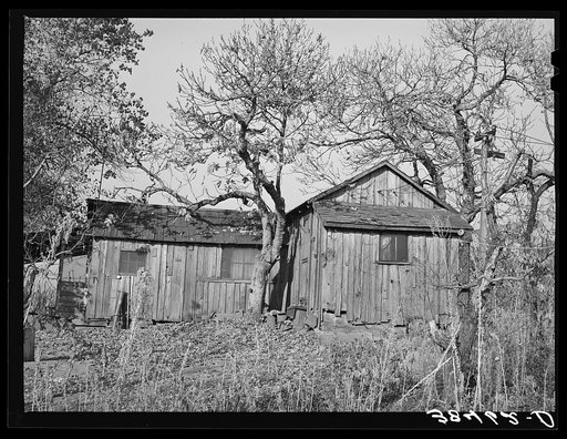 Tenant's house on fruit farm. Placer County, California