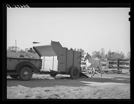 Farm scene. Placer County, California
