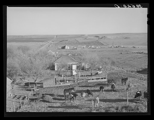 Untitled photo, possibly related to: Farmstead and farmland near Almena. Norton County, Kansas