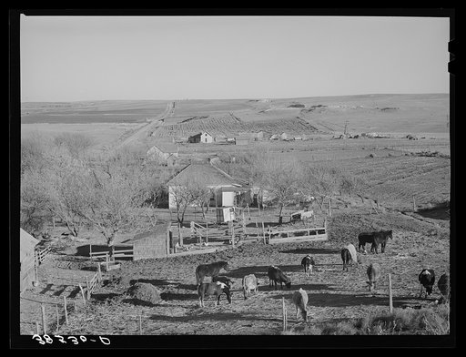 Farmstead and farmland near Almena. Norton County, Kansas
