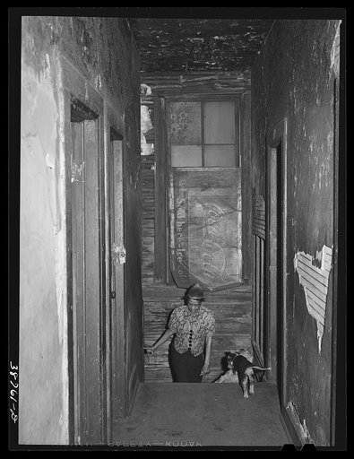 Hall of second floor of building rented as rooming house. Chicago, Illinois