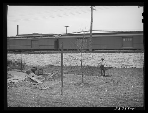 Spring gardening adjacent to railroad tracks in Negro section of Chicago, Illinois