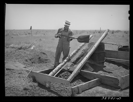 Untitled photo, possibly related to: Mr. Browning and his team. He is a FSA (Farm Security Administration) rehabilitation borrower. Dead Ox Flat, Malheur County, Oregon
