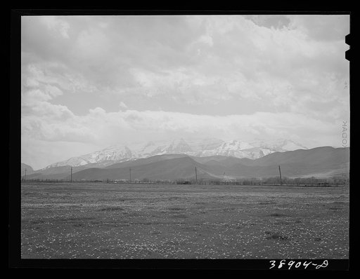 Untitled photo, possibly related to: Spring pasture with the snow-covered Uinta Mountains in the background. Heber, Utah