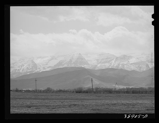 Untitled photo, possibly related to: Spring pasture with the snow-covered Uinta Mountains in the background. Heber, Utah