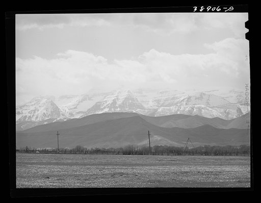 Spring pasture with the snow-covered Uinta Mountains in the background. Heber, Utah