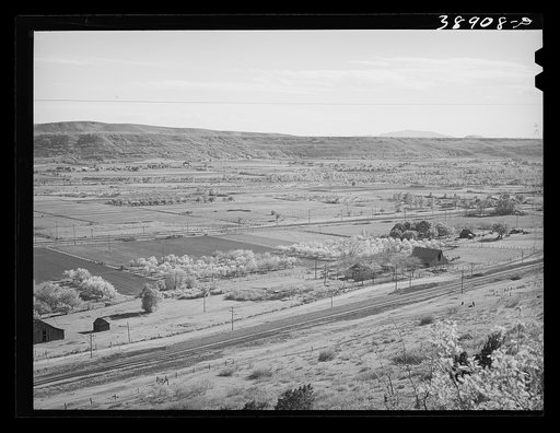 Farming land in the valley of the Wever River. Morgan County, Utah