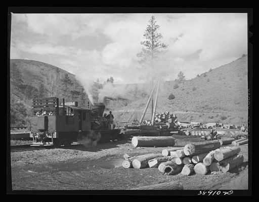 Log loading station of small logging camp. Baker County, Oregon