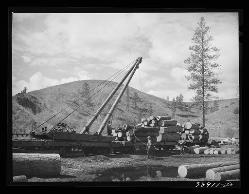 Loading logs onto railroad cars for transportation into town. Baker County, Oregon