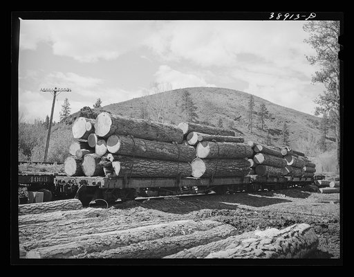 Logs on railroad cars. The logs have been brought from the mountains and will be sent on into town. Baker County, Oregon