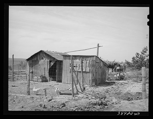 Chicken house and shed on the farm of the Schroeder family, FSA (Farm Security Administration) rehabilitation borrowers living on Dead Ox Flat. Vale-Owyhee irrigation project, Malheur County, Oregon