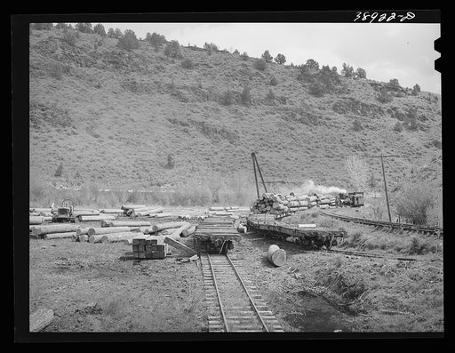 Log loading operation at small logging camp. Baker County, Oregon