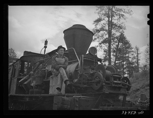 Untitled photo, possibly related to: Logging locomotive and operator. Baker County, Oregon