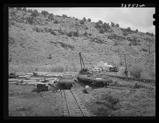 Flat cars of narrow gauge railroad loaded with logs from the surrounding mountains. Baker County, Oregon