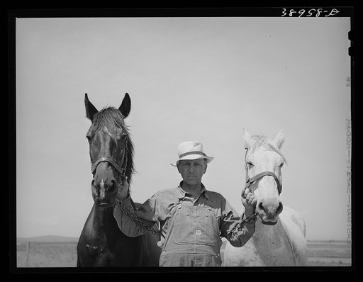 Mr. Browning and his team. He is a FSA (Farm Security Administration) rehabilitation borrower. Dead Ox Flat, Malheur County, Oregon