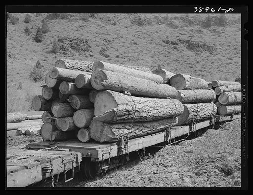 Logs on flatcar which take them into town from mountain logging camp. Baker County, Oregon