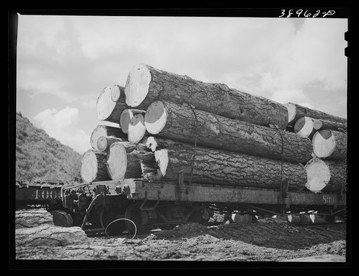 Logs on flatcar which will take them into town from mountain logging camp. The lumbering industry in the eastern part of the state was developed later than that in the western parts of the state but has gathered great speed. Income from forest products in Oregon is about 177,000,000 dollars annually