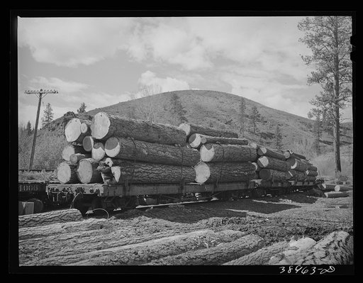 Untitled photo, possibly related to: Logs on flatcar which take them into town from mountain logging camp. Baker County, Oregon