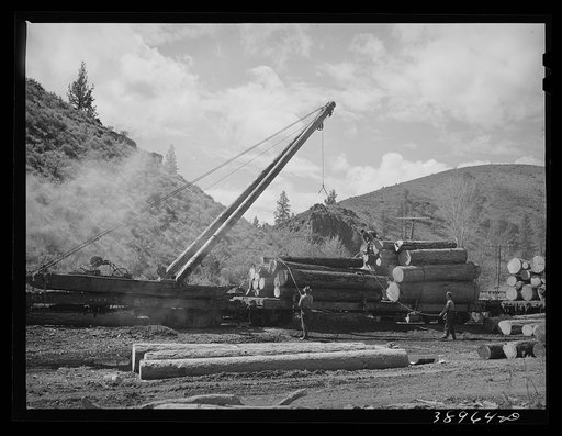 Lifting logs onto flatcars with derricks. Baker County, Oregon. State-supported schools in Oregon receive a good portion of their income from the forests