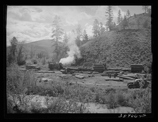Loading logs onto flatcars to be transported to mill in town. Baker County, Oregon