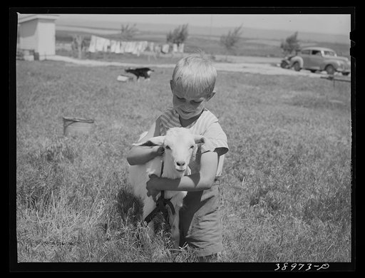 Son of Mr. Browning with his pet goat. Mr. Browning in a FSA (Farm Security Administration) rehabilitation borrower living at Dead Ox Flat, Malheur County, Oregon