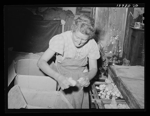 Mrs. Free, wife of FSA (Farm Security Administration) rehabilitation borrower, with baby chicks. Dead Ox Flat, Malheur County, Oregon