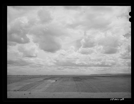 Farmland. Dead Ox Flat, Malheur County, Oregon