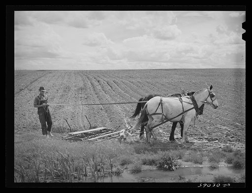 Ray Halstead making a turn while harrowing an irrigated field. He is a FSA (Farm Security Administration) rehabilitation borrower. Dead Ox Flat, Malheur County, Oregon