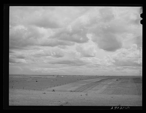Farming land. Dead Ox Flat, Malheur County, Oregon