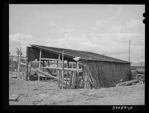 Shed on farm of Mr. White, FSA (Farm Security Administration) rehabilitation borrower. Dead Ox Flat. Corn stalks are used on north wall of the shed for protection