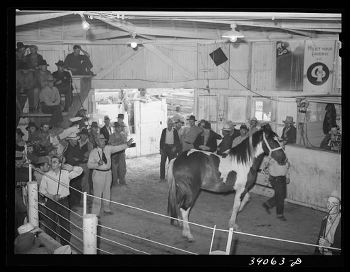 Auctioning off a horse at sale. Ontario, Oregon