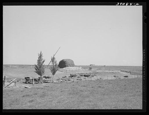 Farm scene. Vale-Owyhee irrigation project, Malheur County, Oregon. Increased dairy and beef herds are now consuming most of hay and feed crops produced in the section