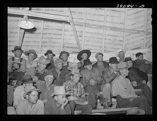 At auction of livestock. Ontario, Oregon