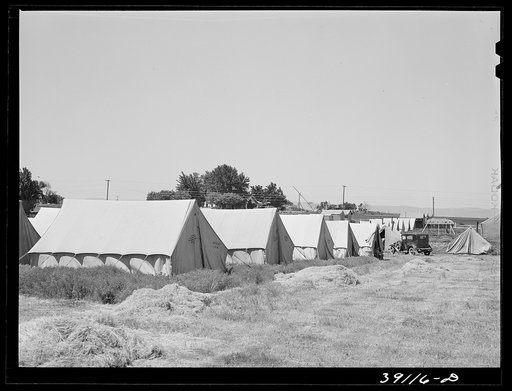 Tents at the FSA (Farm Security Administration) migratory labor camp mobile unit. Wilder, Idaho