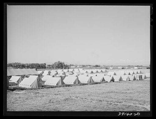 Untitled photo, possibly related to: Tents at FSA (Farm Security Administration) migratory labor camp mobile unit. Wilder, Idaho