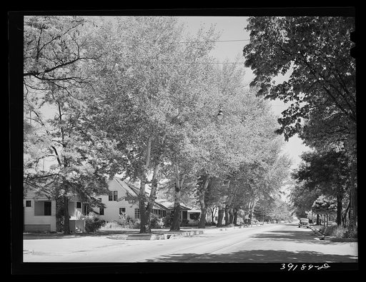 Street in the residential section of Caldwell, Idaho. In Caldwell is the College of Idaho, the oldest institution of higher learning in the state. Idaho State Guide (Federal Writers' Project) says, "But none of these give the mental and spiritual flavor of the town (Caldwell), which with its ninetee