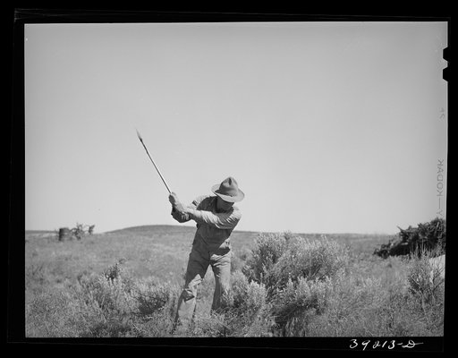 Untitled photo, possibly related to: Newly-arrived farmer clearing land of sage brush. Vale-Owyhee irrigation project, Malheur County, Oregon. On the Vale-Owyhee project the average farmer has been able to clear and get into cultivation (small grain, alfalfa) forty-four acres in the first year on hi