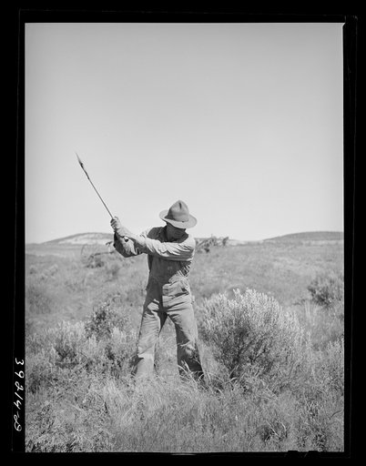 Newly-arrived farmer clearing land of sage brush. Vale-Owyhee irrigation project, Malheur County, Oregon. On the Vale-Owyhee project the average farmer has been able to clear and get into cultivation (small grain, alfalfa) forty-four acres in the first year on his farm