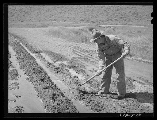Newly-arrived farmer on the Vale-Owyhee irrigation project, Malheur County, Oregon, irrigating his garden