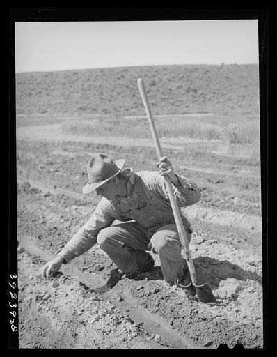 Untitled photo, possibly related to: Newly-arrived farmer on the Vale-Owyhee irrigation project. Malheur County, Oregon