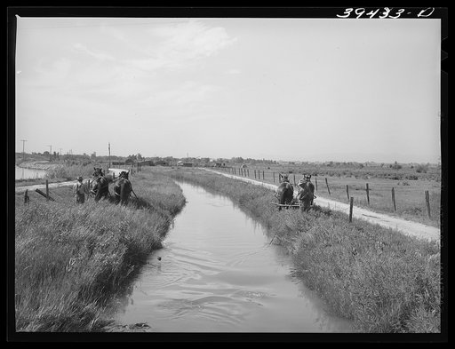 Irrigation ditch. Canyon County, Idaho