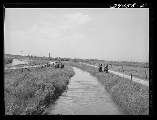 Untitled photo, possibly related to: Irrigation ditch. Canyon County, Idaho